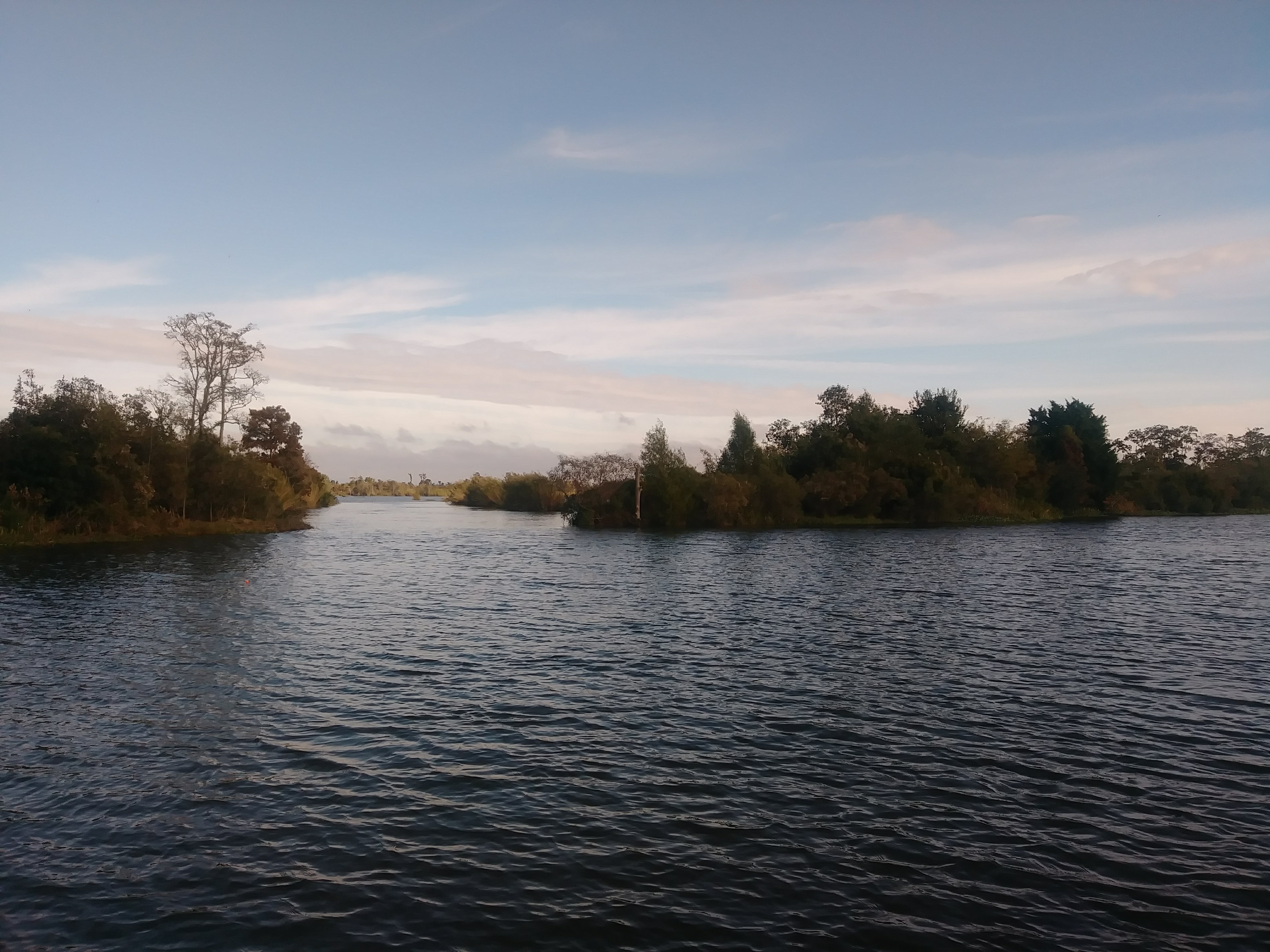 Protected marsh water and shoreline in Southeast Louisiana