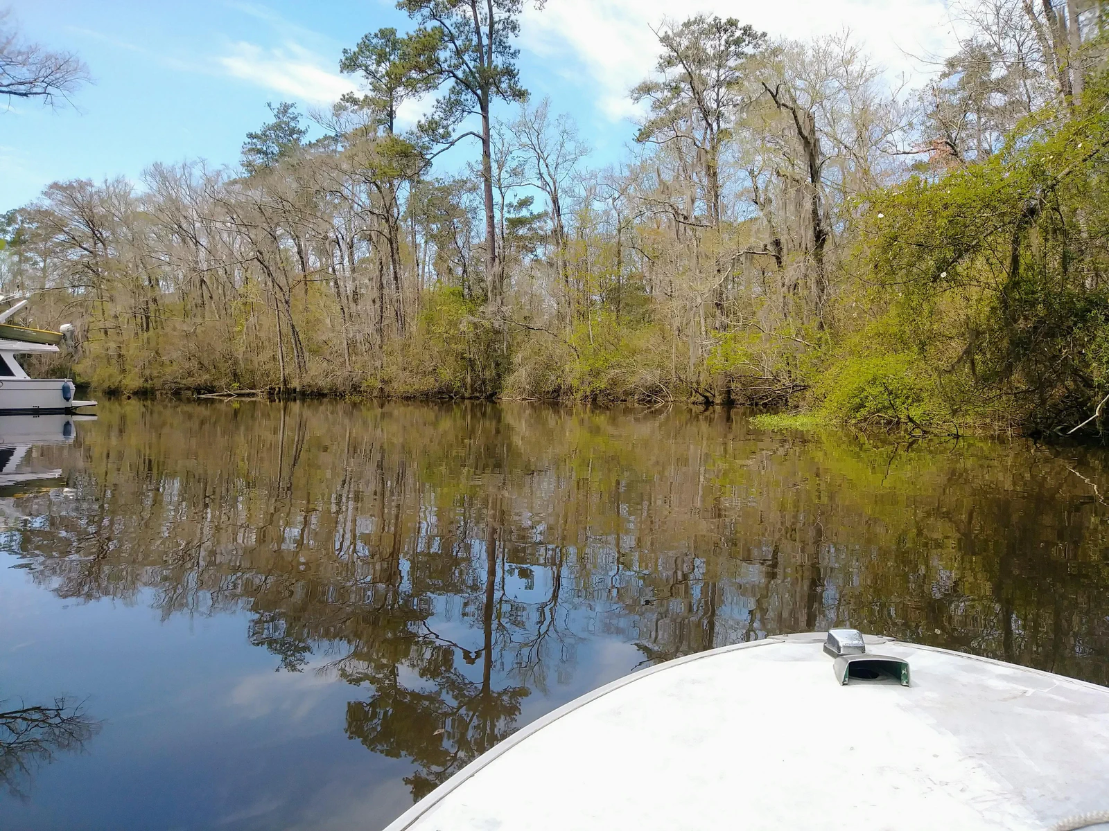 Tree-lined Northshore bayou bank with stained water in spring