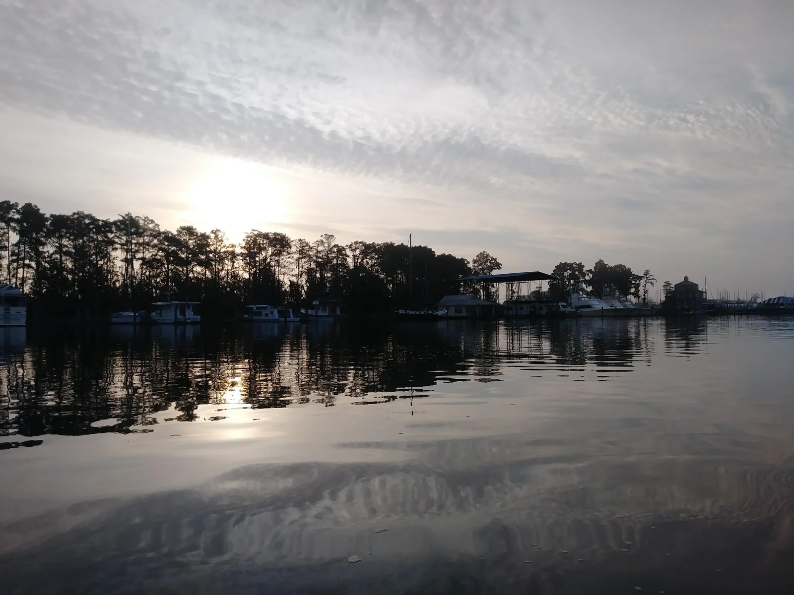 Calm marina water and tree line in Southeast Louisiana