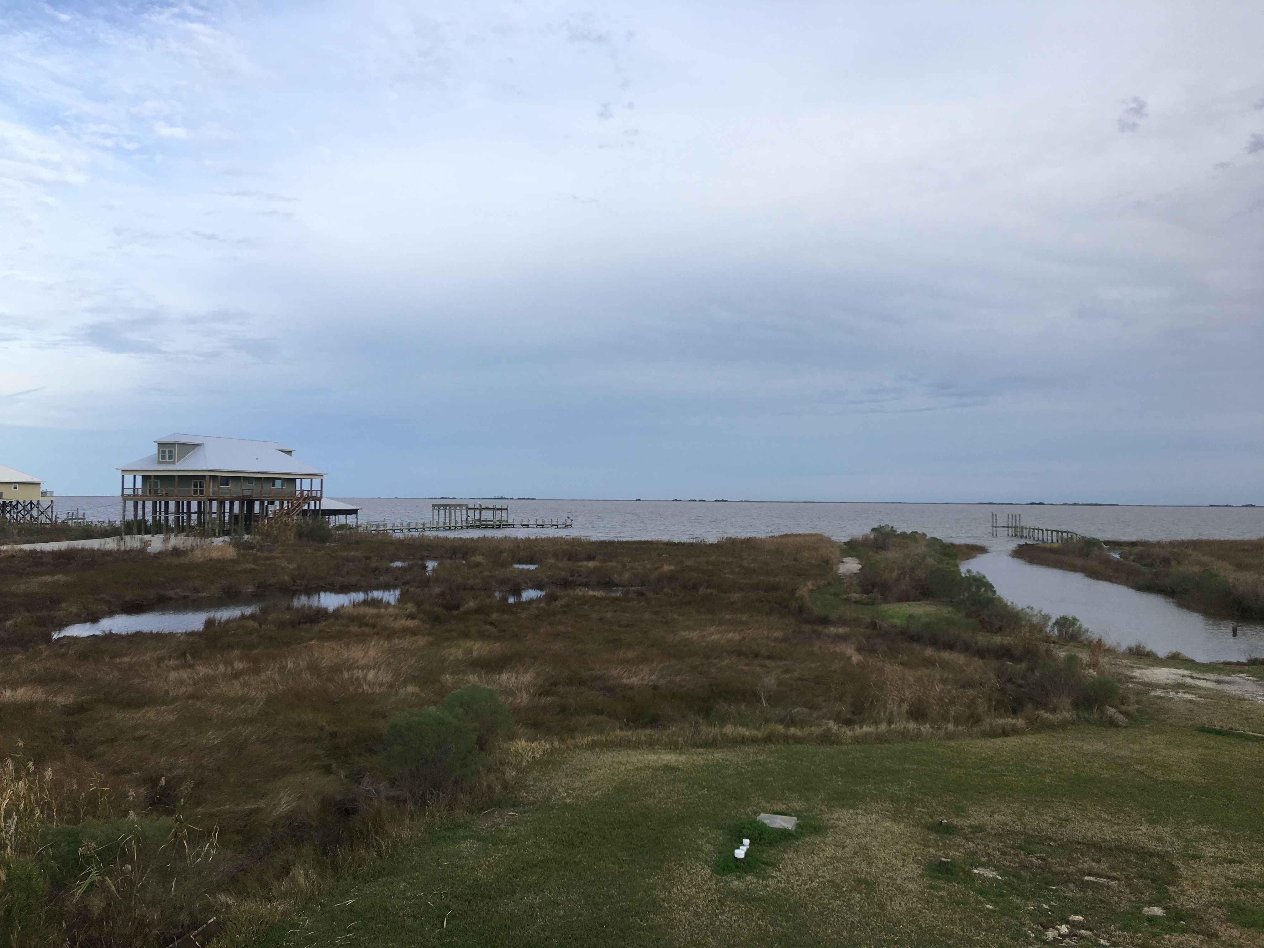 South Louisiana marsh water near the grass line